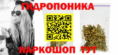 ГАЛЛЮЦИНОГЕННЫЕ ГРИБЫ Кингисепп