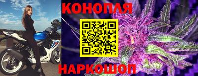 прущие грибы Кинель