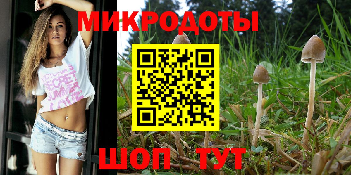 Кузнецк  Псилоцибиновые грибы мицелий  Вход с VPN 