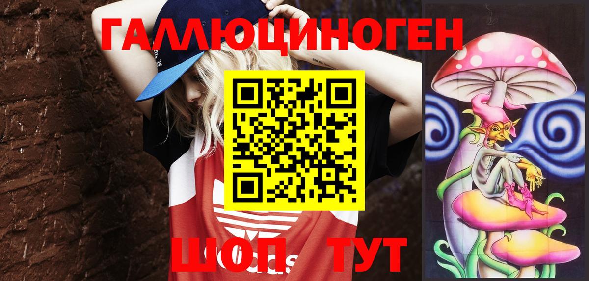 Галлюциногенные грибы Psilocybine cubensis Кузнецк