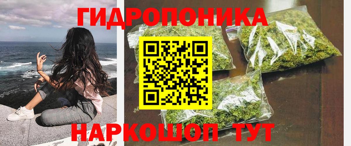 Конопля тримм  Вход с VPN  Кузнецк  Шишки марихуана Ganja  Шишки марихуана OG Kush 